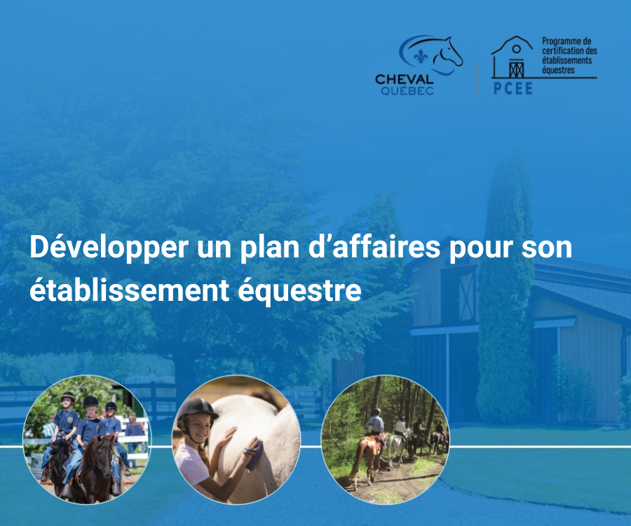 Développer un plan d’affaires pour son établissement équestre